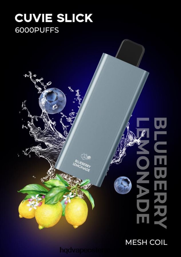 glatte Blaubeerlimonade