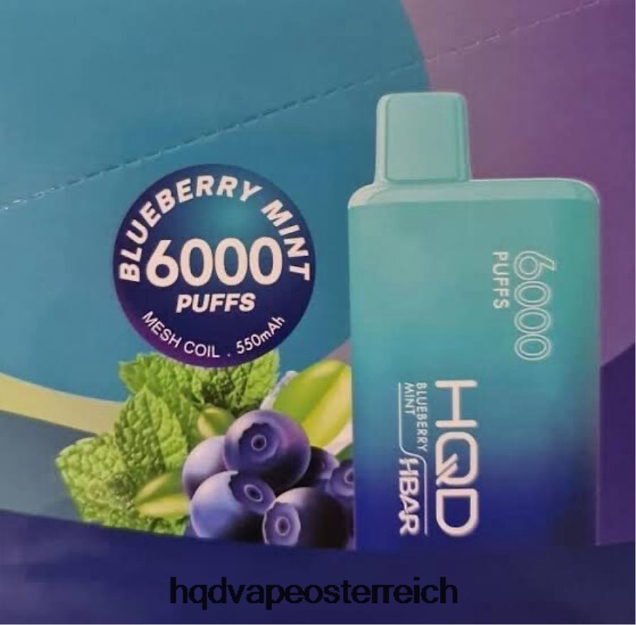 HQD HBAR 6000 Züge Blaubeerminze H2060F51 - HQD Österreich