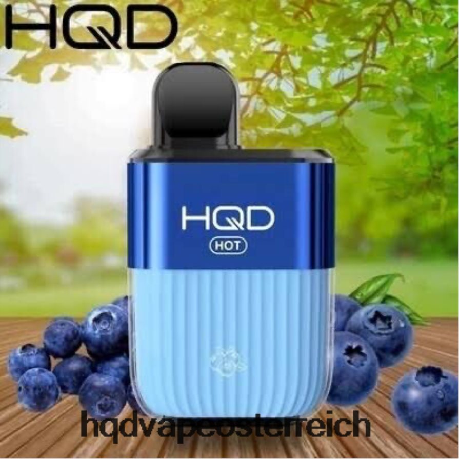 HQD HOT 5000 Züge Blaubeere H2060F66 - HQD Vape Preis